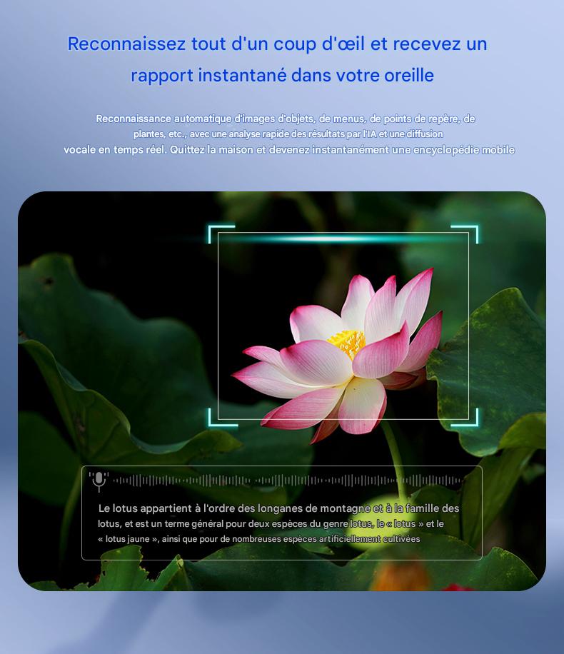 Lunettes intelligentes Blackview BV100 IA